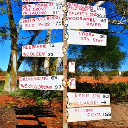 signs at the roadhouse