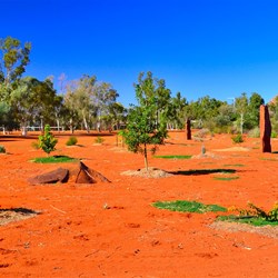 garden in front of Council building