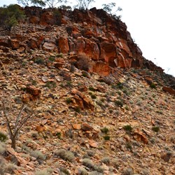 view along the way... the walk down