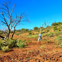 walking around the lake 