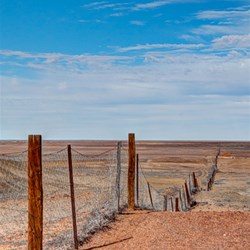 The Dingo Fence 2