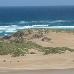 Sandy Cape Area