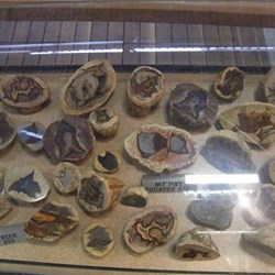 Thunder eggs from around the world