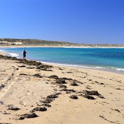 beach at Quobba Point