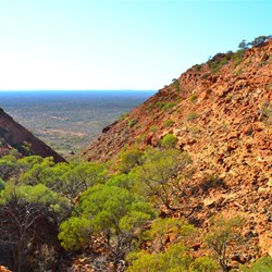 views from on the walk to the top
