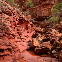 Temple Gorge