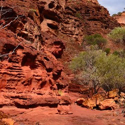 Temple Gorge