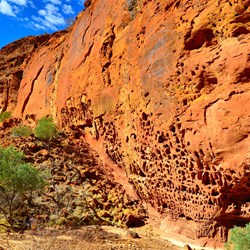 Honeycomb gorge