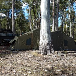 Oz tent city Woods Lake