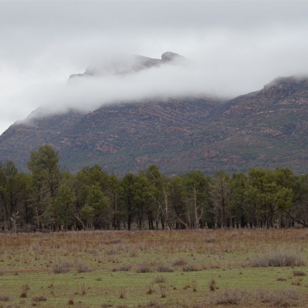 Low Cloud cover over the Flinders Ranges