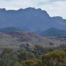 Those majestic Flinders Rangers - we never get sick of visiting them