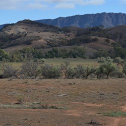 The cloud cover starting to clear