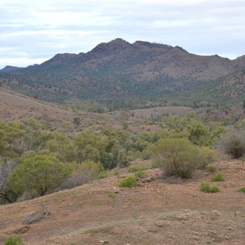Scenery on the Parachilna Gorge Road 