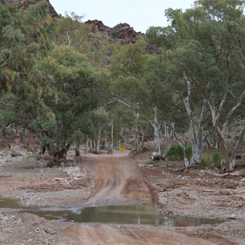 Creek Crossing along the Parachilna Gorge Road