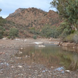 There were still small pools of water after the floods in Brachina Gorge