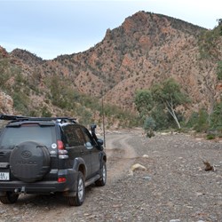 Only days after the flooding, and the track had been used many times