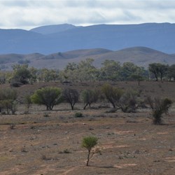 Getting closer to Wilpena
