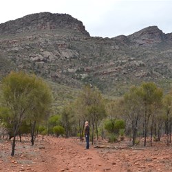 Track conditions on the walk