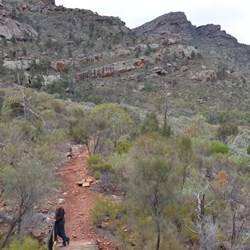 On the Arkaroo Rock walk