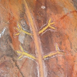 Arkaroo Rock Art Site