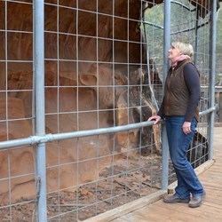 Fiona admiring the Rock Art