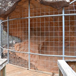 This cage protects the Rock Art
