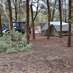 Bush Camp Setting