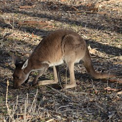 We had to make sure everything was away at night