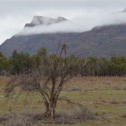 Not your usual view of the Flinders Ranges