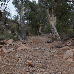 Heading up the creek towards Sacred Canyon