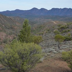 Views like this have made the Flinders Ranges famous world wide