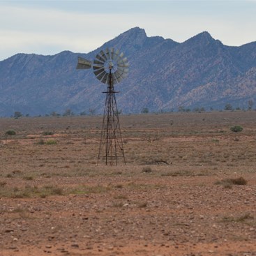 This windmill is dwarfed by the Flinders Ranges