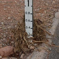 Debris on the depth gauge