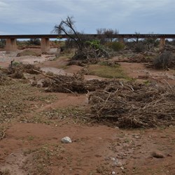 Debris on the higher sections of the Brachina Overflow