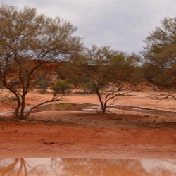 view out the side window as we travelled along Dairy Creek,Cobra road