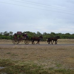 Take a ride with Cobb and Co