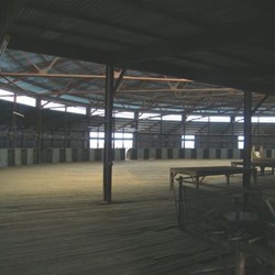 Isis Downs curved shearing board with overhead blowers