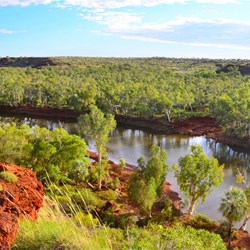 view from the lookout 