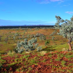Pilbara landscape