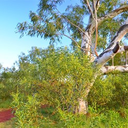 landscape near Deep Reach Pool