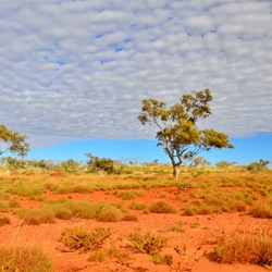 stunning colours in the early morning light