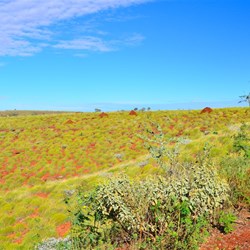 driving near Mt Herbert