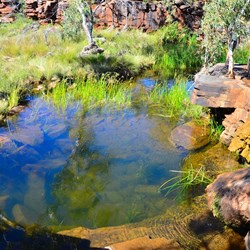 Springs and permanent waterhole
