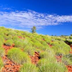 views along the walk to the Springs