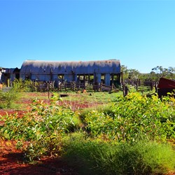 old sheds at Mt Florence Station