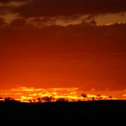 sunset at Mt Florence