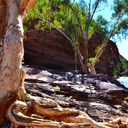 Hammersley Gorge