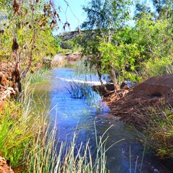 plenty of water near Crossing Pool