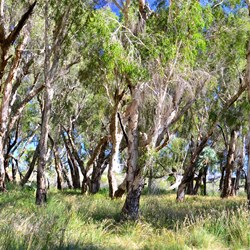 walking to Crossing Pool