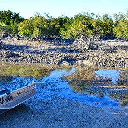 waiting for the water to appear so we could launch the tinnie